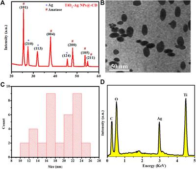 UV-irradiating synthesis of cyclodextrin–silver nanocluster decorated TiO2 nanoparticles for photocatalytic enhanced anticancer effect on HeLa cancer cells